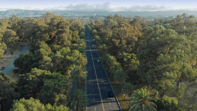 Aerial view of a road cutting through Stanford University, Palo Alto, California, USA. The road provides access through the university.