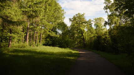 road in the park