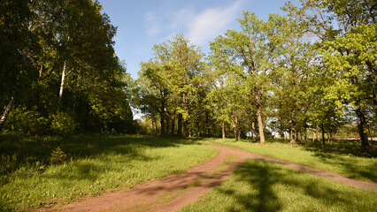 path in the park