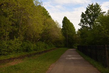path in the park