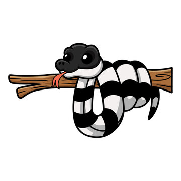 Cute banded krait snake cartoon on tree branch