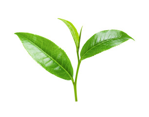 tea leaves on transparent png