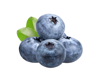 Fototapeta premium blueberries on transparent png