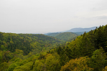 Obraz premium チョボチナイゲートの嶺雲橋から見た風景