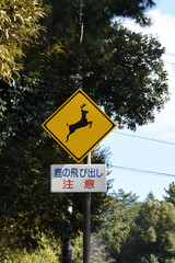 deer jumping out warning sign