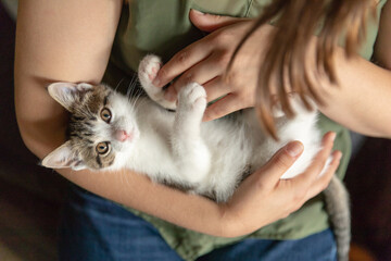 A woman cuddling a little kitten