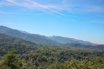 Beautiful mountain landscape with forest on sunny day