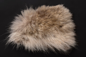 Real grey wolf fur, from above. Wolf pelt with silky, fluffy and bushy fur fibers, primarily used...