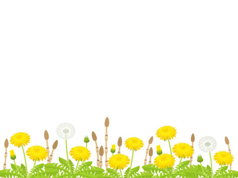 たんぽぽ Images – Browse 11,740 Stock Photos, Vectors, and Video