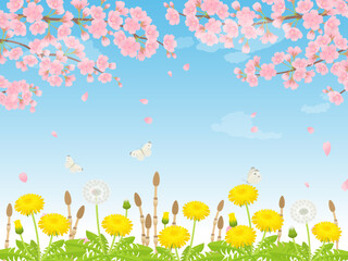 満開の桜・たんぽぽ・つくしの春の風景_背景_ベクターイラスト