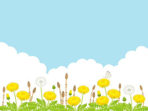 たんぽぽ Images – Browse 11,740 Stock Photos, Vectors, and Video