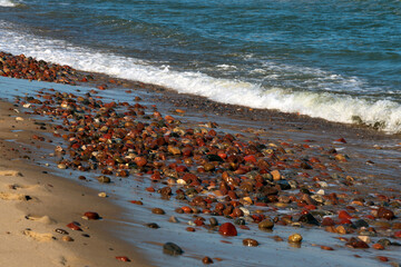 Colorful sea pebbles on the shore of the Baltic Sea on the background of an incoming wave, Curonian...
