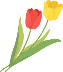 チューリップ 赤 黄色_春の花