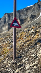 Danger Polar Bears Ahead Sign