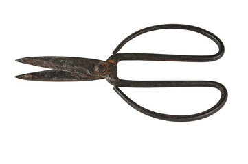 Old scissors