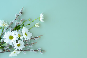 Spring bouquet of flowers of white chamomile or daisies and pussy willow twigs on a green background. Floral background for Easter holiday, women's day, 8 march - obrazy, fototapety, plakaty