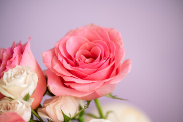 bouquet of roses with lavender background