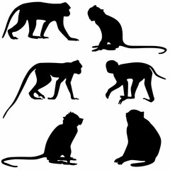 
long tail monkey set, silhouettes - obrazy, fototapety, plakaty