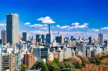 Obraz premium 東京 青空と都市風景