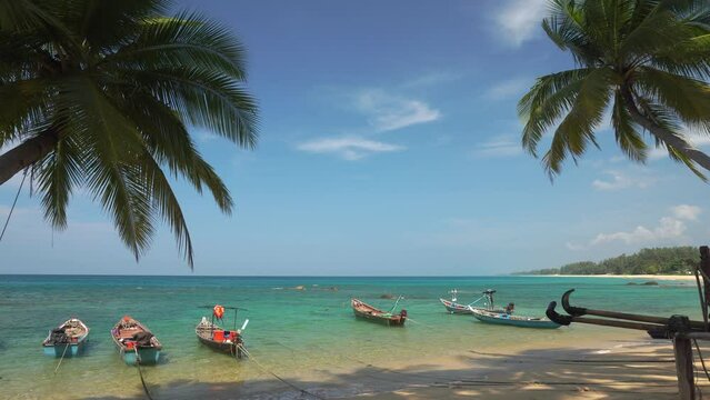 ow Angle View Of Coconut Palm Trees On Beach blue Sky