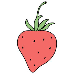Fresh Strawberries Fruits Hand Drawn Illustration