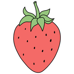 Fresh Strawberries Fruits Hand Drawn Illustration