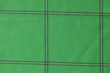 Green checkered tablecloth as background.