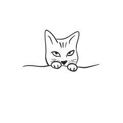 cat cartoon