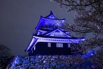 夜の浜松城