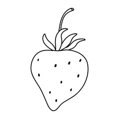 Fresh Strawberries Fruits Hand Drawn Illustration