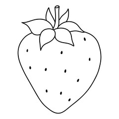 Fresh Strawberries Fruits Hand Drawn Illustration