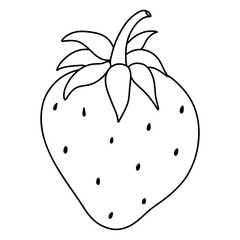 Fresh Strawberries Fruits Hand Drawn Illustration
