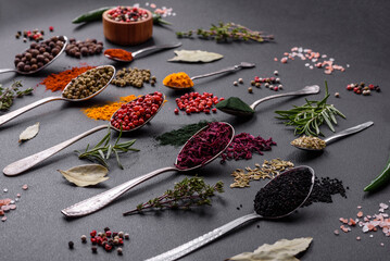 Several types of spices in metal spoons paprika, tomatoes, curry, beets, cumin, turmeric, fennel, spirulina