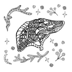 Vector illustration of a human liver. Colouring book for adults anti-stress. Stylised illustration of black and white human liver, internal organs
