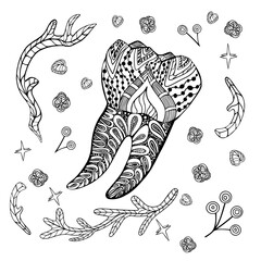 Vector illustration Human tooth. Line colouring anatomy draws decorative curves, creative mind, learning and design. Adult anti-stress colouring book. Floral stylised black and white Human tooth