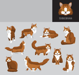 Cat Sibarian Cartoon Vector Illustration Color Variation Set