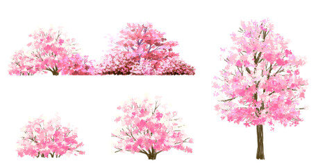 Vector watercolor blooming flower tree side view isolated on white background for landscape and architecture drawing, elements for environment and garden,botanical elements for section in spring 