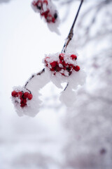 Winterlandschaft Rhön- Winterwanderung auf der Langen Rhön 12