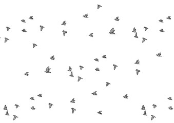 鳥