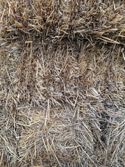 Dry grass for cattle feed, harvested straw, background image