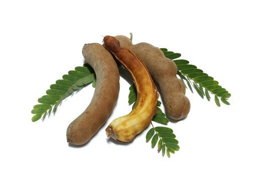 Three tamarinds, one of which is peeled. placed on a white background