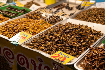 Thai food at the market. Fried insects. Cockroaches, grasshoppers, caterpillars, scorpions. An unusual snack, a thrill.