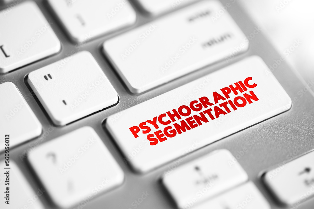 Poster psychographic segmentation - marketing research which divides consumers into sub-groups based on sha