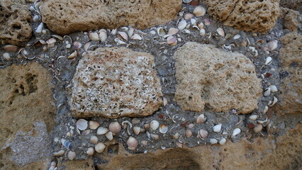 Ancient mortar with shells holding weathered bricks. Caesarea Maritima National Park, Israel
