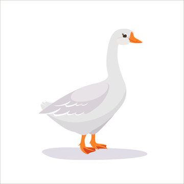 Cute Goose, vector illustration of a bird on a farm. You can use the goose icon for websites, user interface, UX
