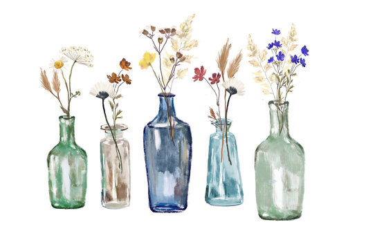 Wild flowers, dried flowers in vase, glass bottles. Png illustration, transparent background.