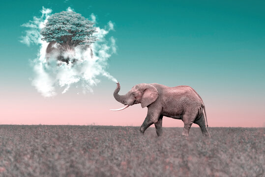 metaphorical image, an elephant blowing water to a tree in a bubble