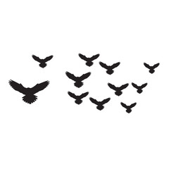 Fototapeta na wymiar set of birds