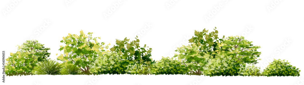 Sticker vector watercolor of grass or tree side view isolated on white background for landscape and architec