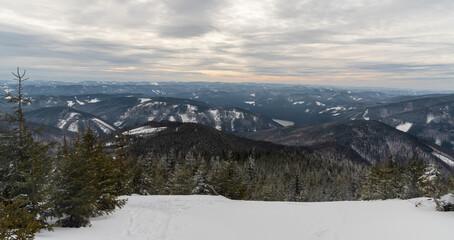 View near Lysa hora hill summit in winter Moravskoslezske Beskydy mountains in Czech republicr
